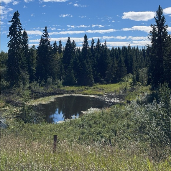 Meet your Posher, Shayne - Picture 1 of 1